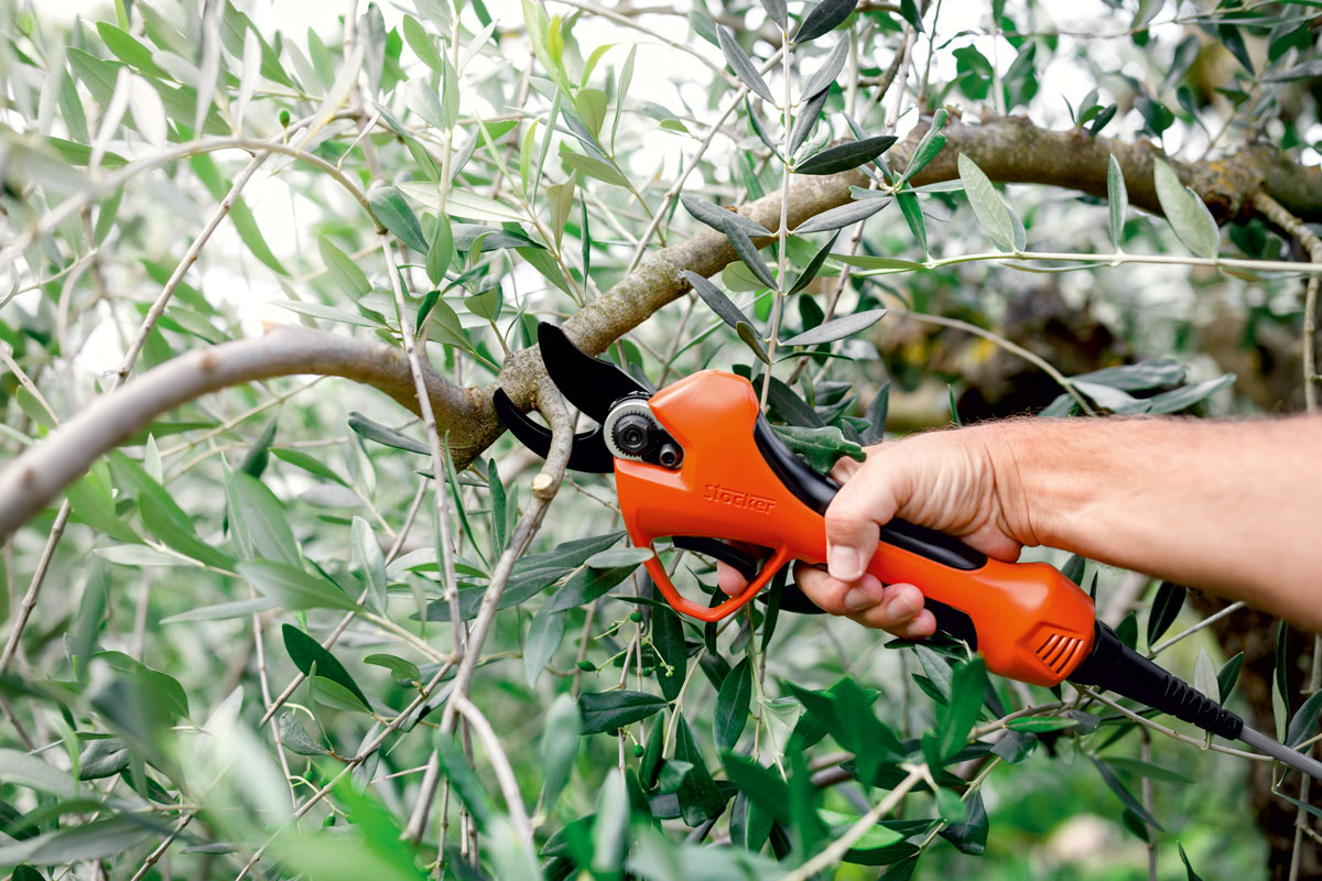 FELCO 16 (Left-Handed) Pruning Shears – Garden Answer