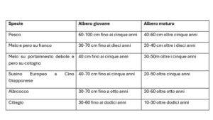 Tabella con indicazioni delle piante