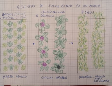 Esempio di successioni in un'aiuola