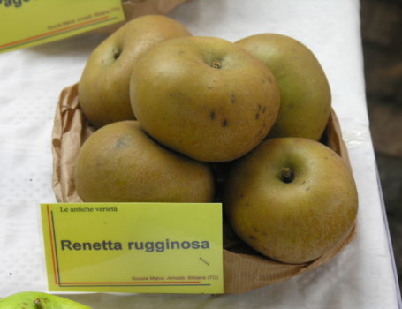 La renetta grigia è una varietà rustica, ma non tutte le vecchie varietà presentano questa caratteristica